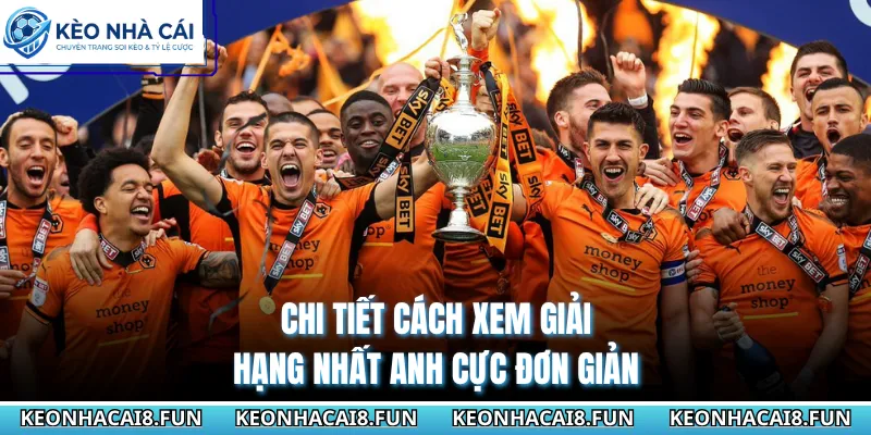 Hạng Nhất Anh 29 Chi tiết cách xem giải hạng nhất Anh cực đơn giản