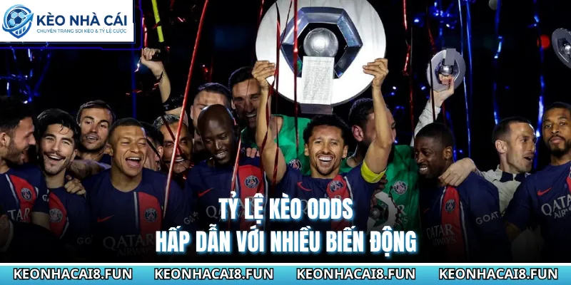Tỷ lệ kèo odds hấp dẫn với nhiều biến động 