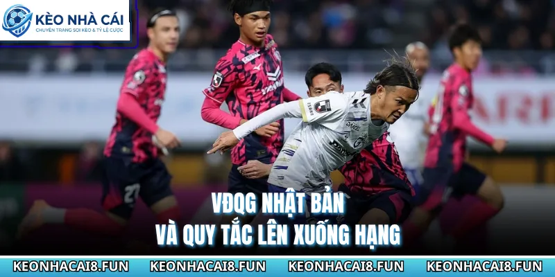 VĐQG Nhật Bản 28 VĐQG Nhật Bản và quy tắc lên xuống hạng