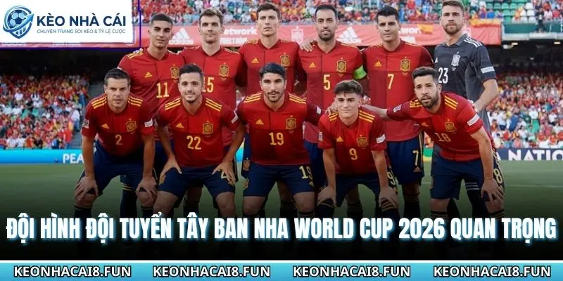 Đội Hình Đội Tuyển Tây Ban Nha World Cup 2026 Quan Trọng 6 Đội hình đội tuyển Tây Ban Nha World Cup 2026