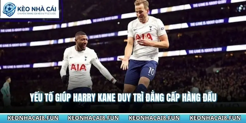 Yếu tố giúp Harry Kane duy trì đẳng cấp hàng đầu