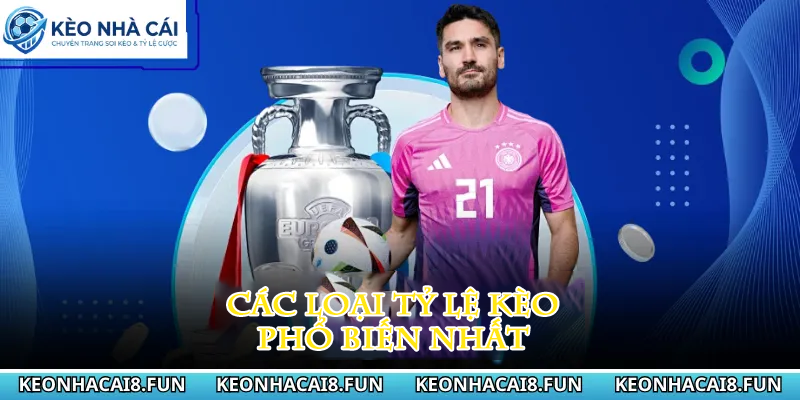 Kèo nhà cái 31 Các loại tỷ lệ kèo phổ biến nhất