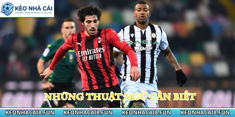 Kèo nhà cái 41 Những thuật ngữ cần biết